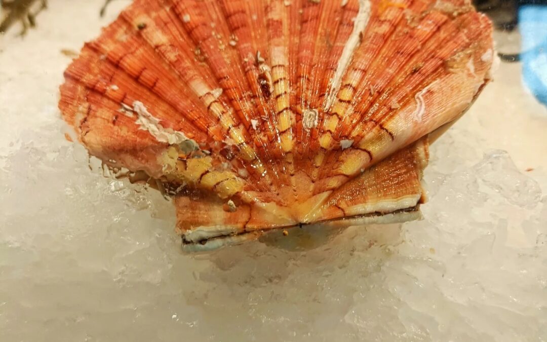 Poissonnerie du Brethon