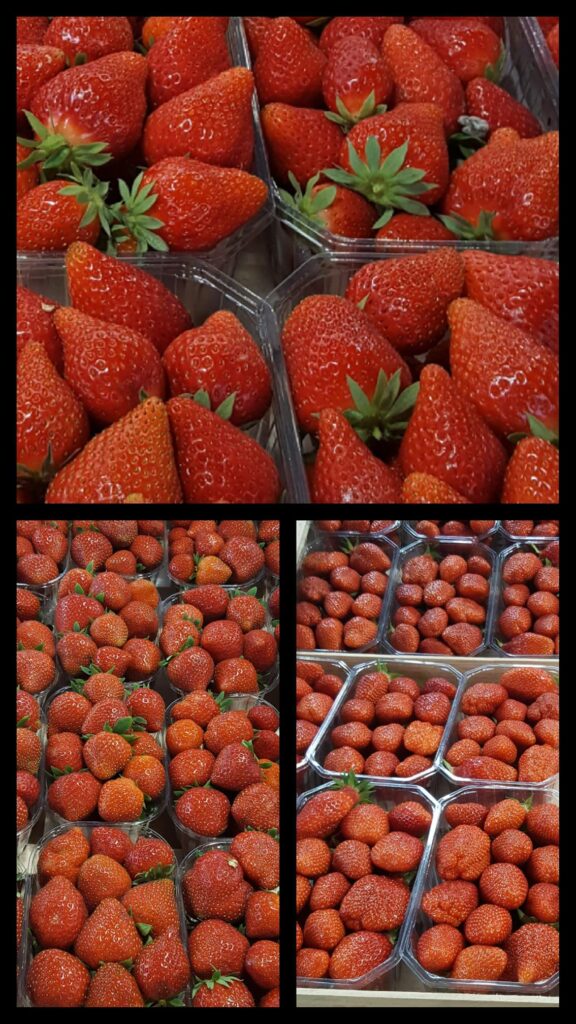 471285968_1654260975188246_9060033931563036357_n