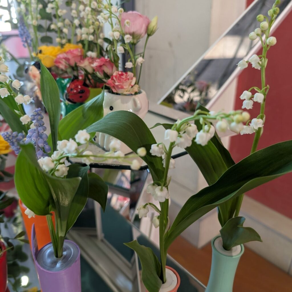 491465021_18391769998114045_2162899204767776164_n