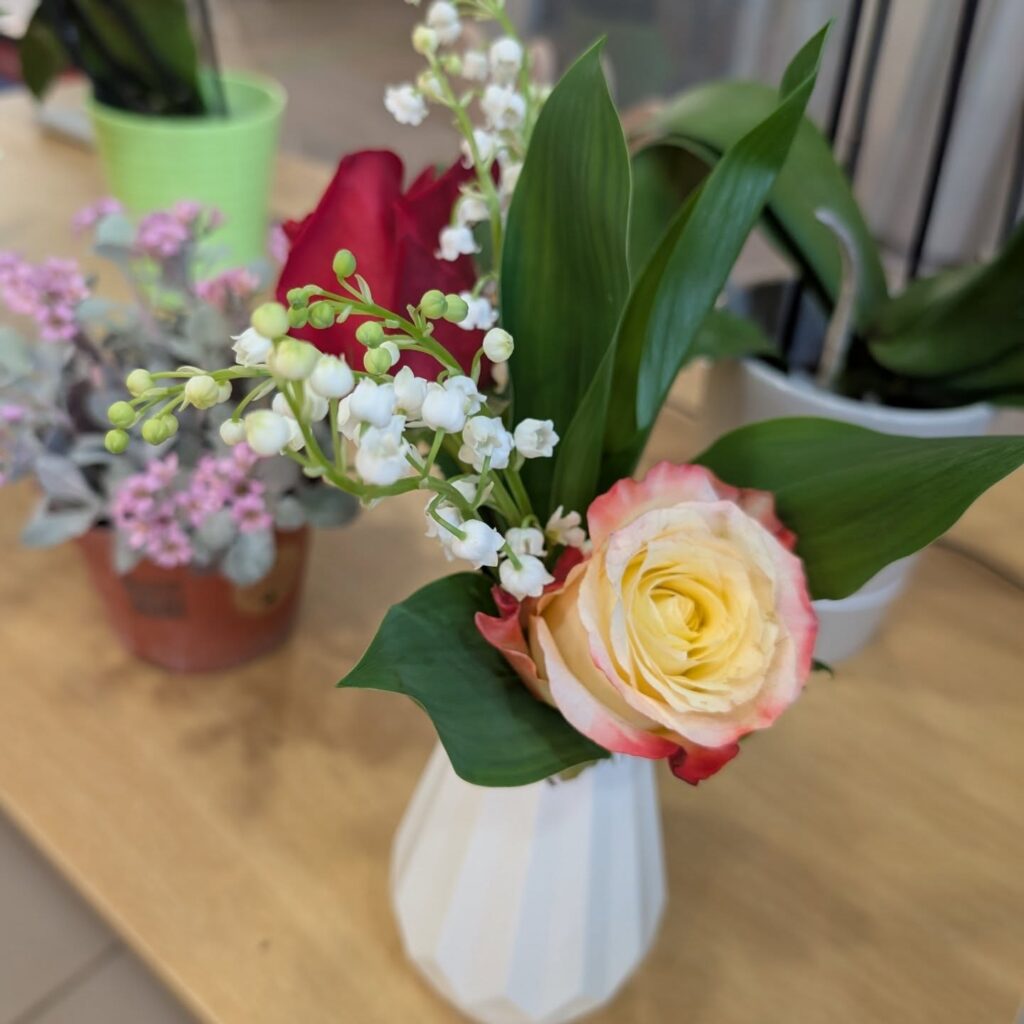 491468601_18391770034114045_8382556635458555712_n