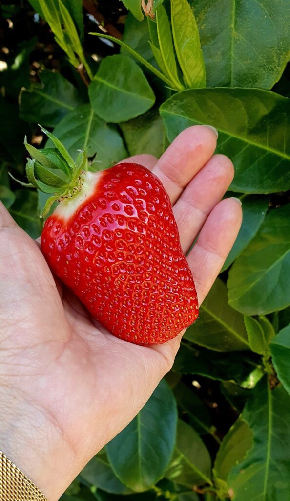 491781697_999878685580358_8172531316263825306_n