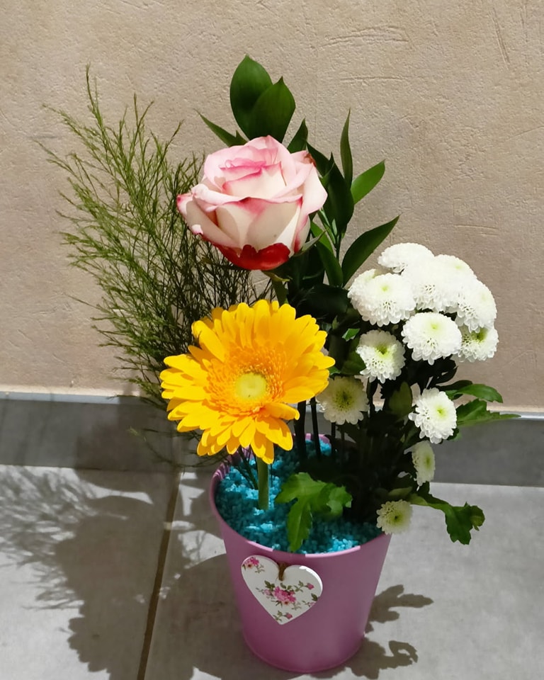 495032381_1277403661060256_5267375252584941062_n