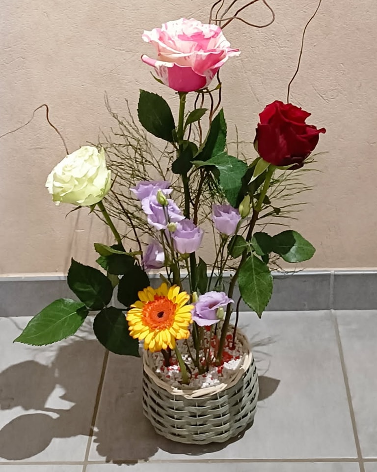 499717888_1277403614393594_4252033202704994377_n