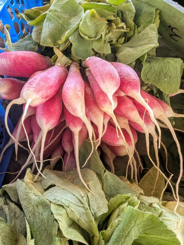 516507840_18401047420114045_5723128437807498328_n