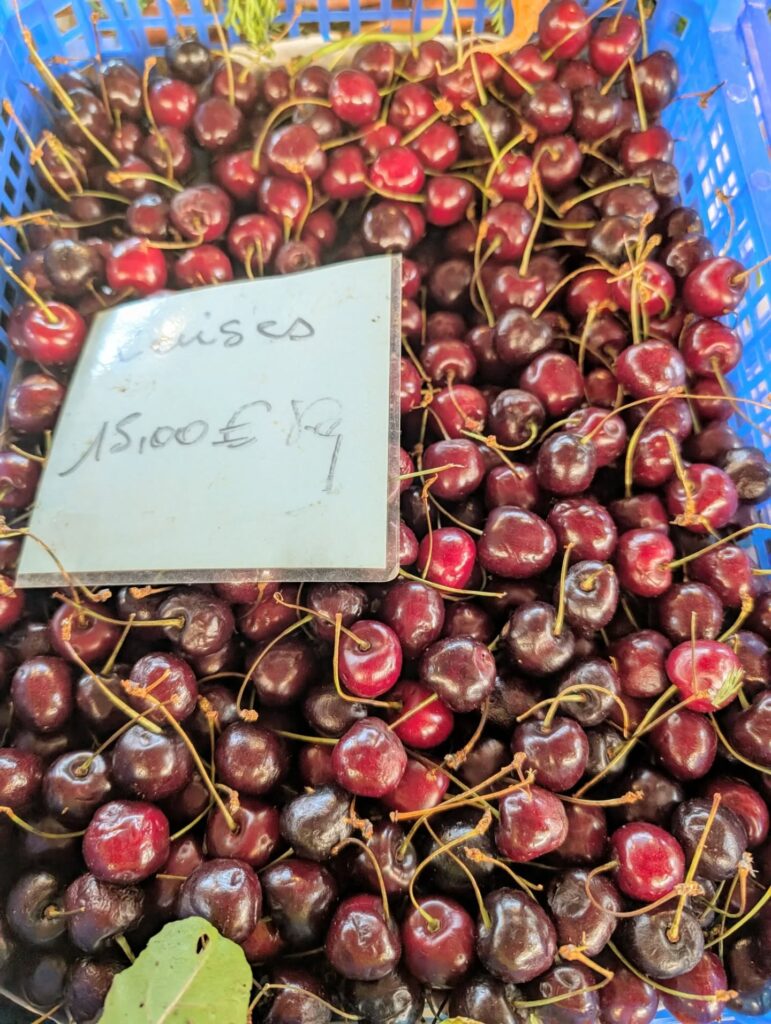 516590181_18401047438114045_5796748544279308893_n