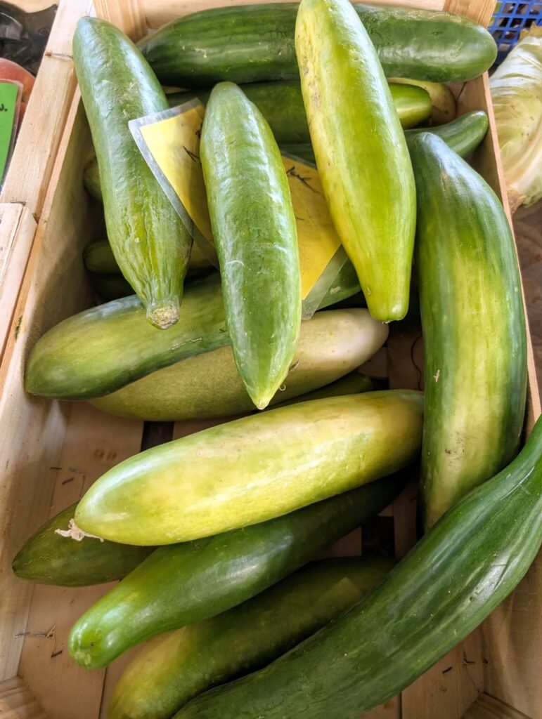 516811187_18401047357114045_2168215517906171827_n