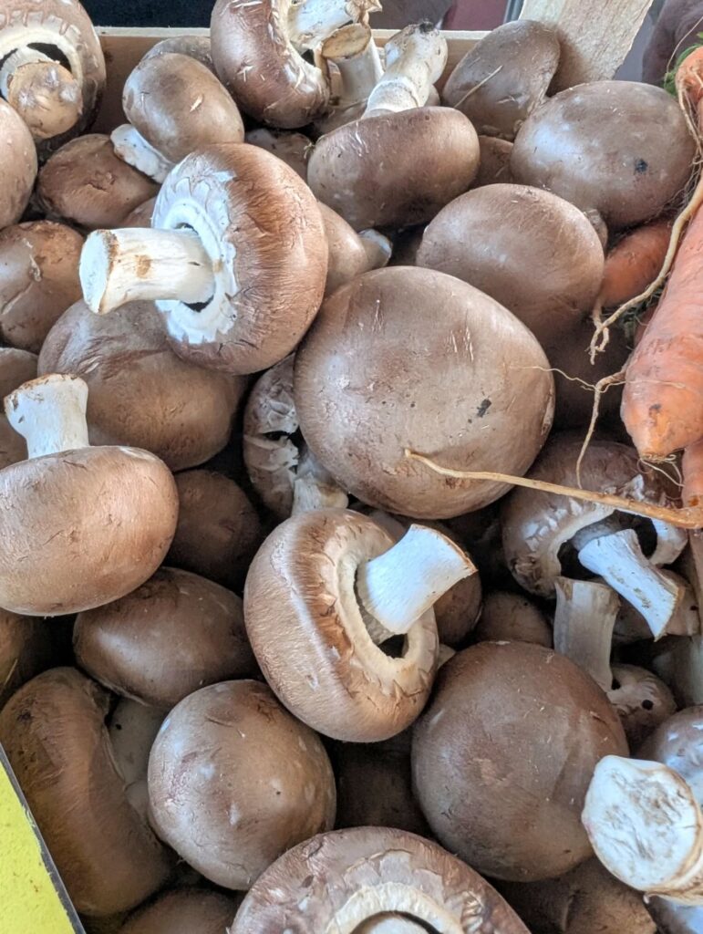 516988017_18401047369114045_4083644868169879381_n