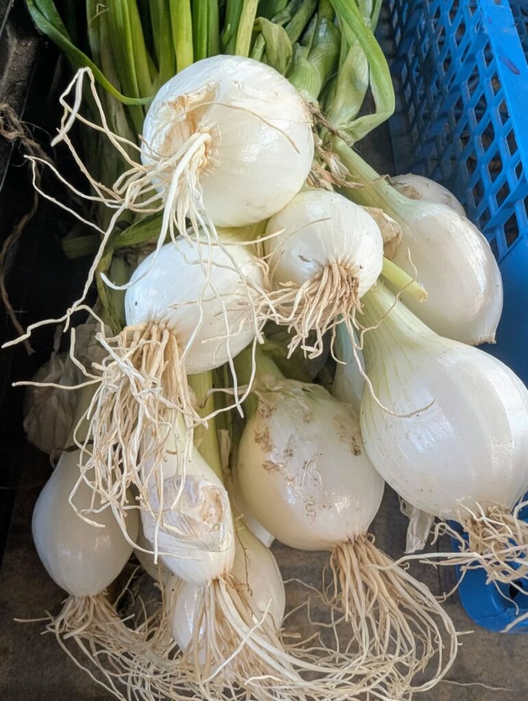 517022446_18401047348114045_6628291707903310561_n