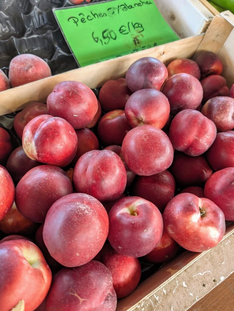 517359477_18401047411114045_4177134165420586585_n