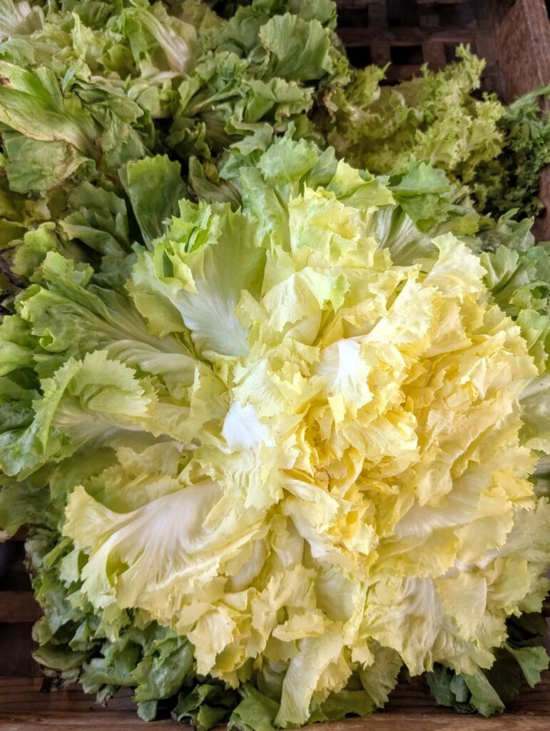 517585353_18401047399114045_7460836143394043058_n