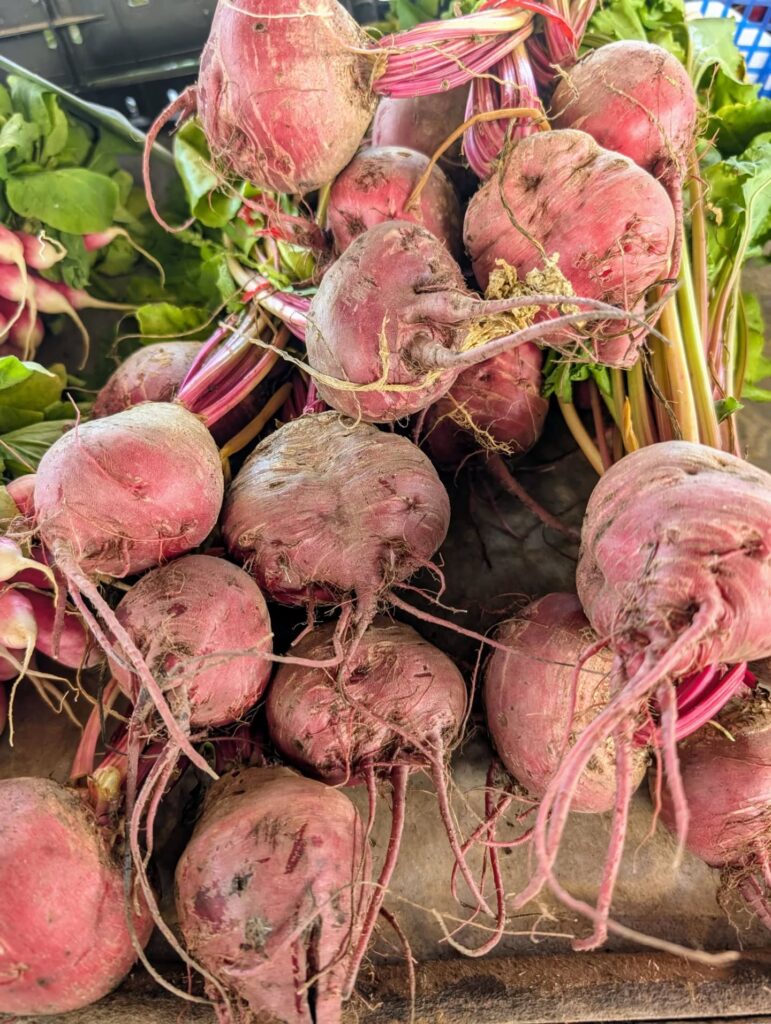 518002036_18401047378114045_2075348589242152071_n