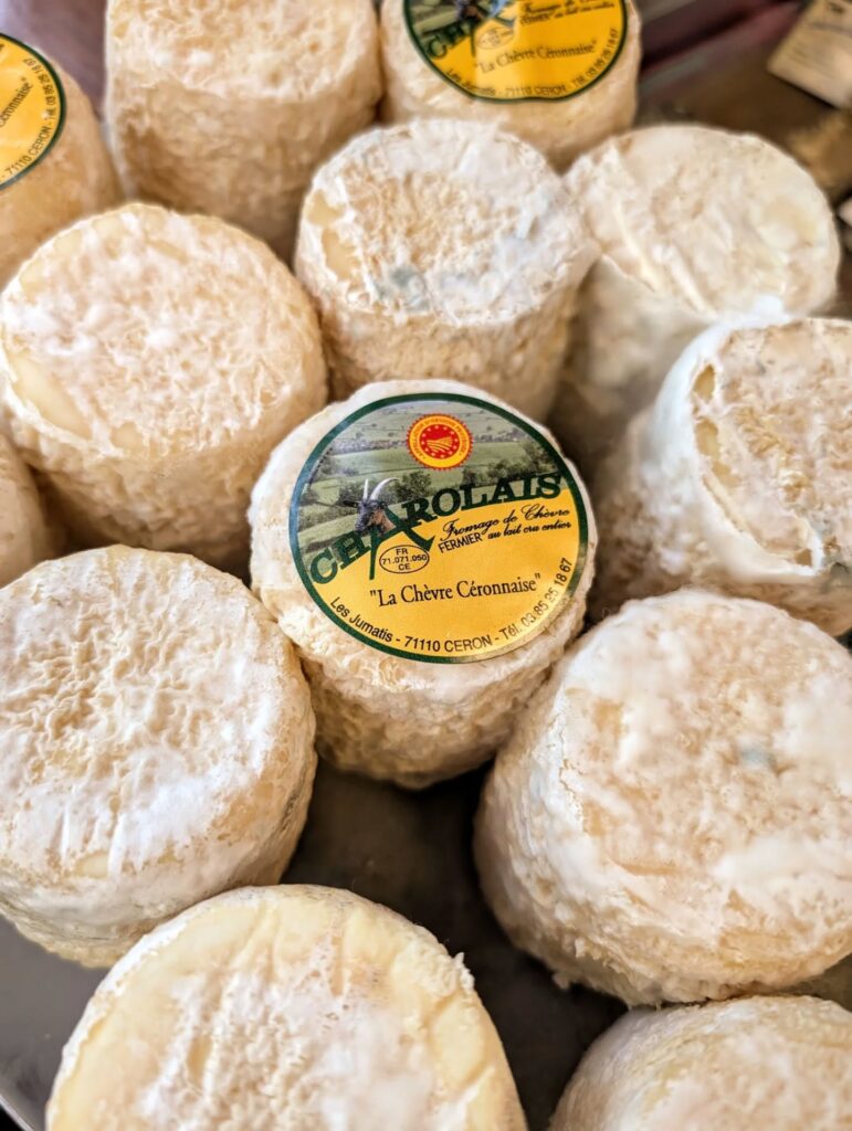 548894607_18410111710114045_4957931389223260026_n