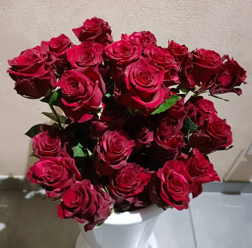 609174346_122259807206034137_4054365419791462882_n