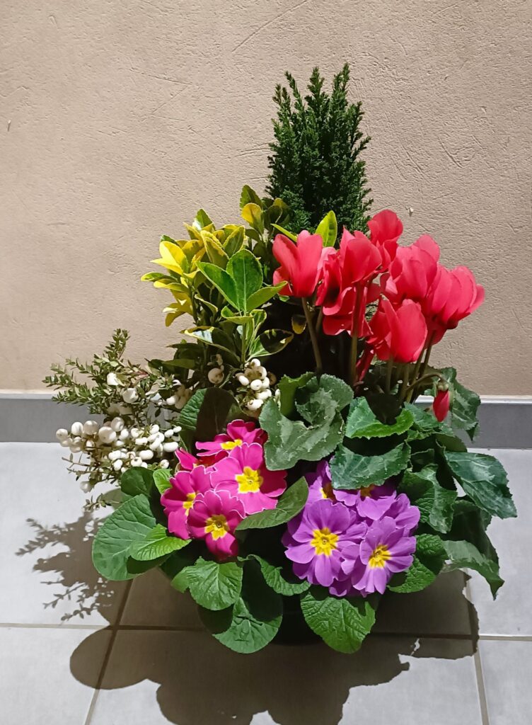 614972260_122260334318034137_7805937107966576731_n