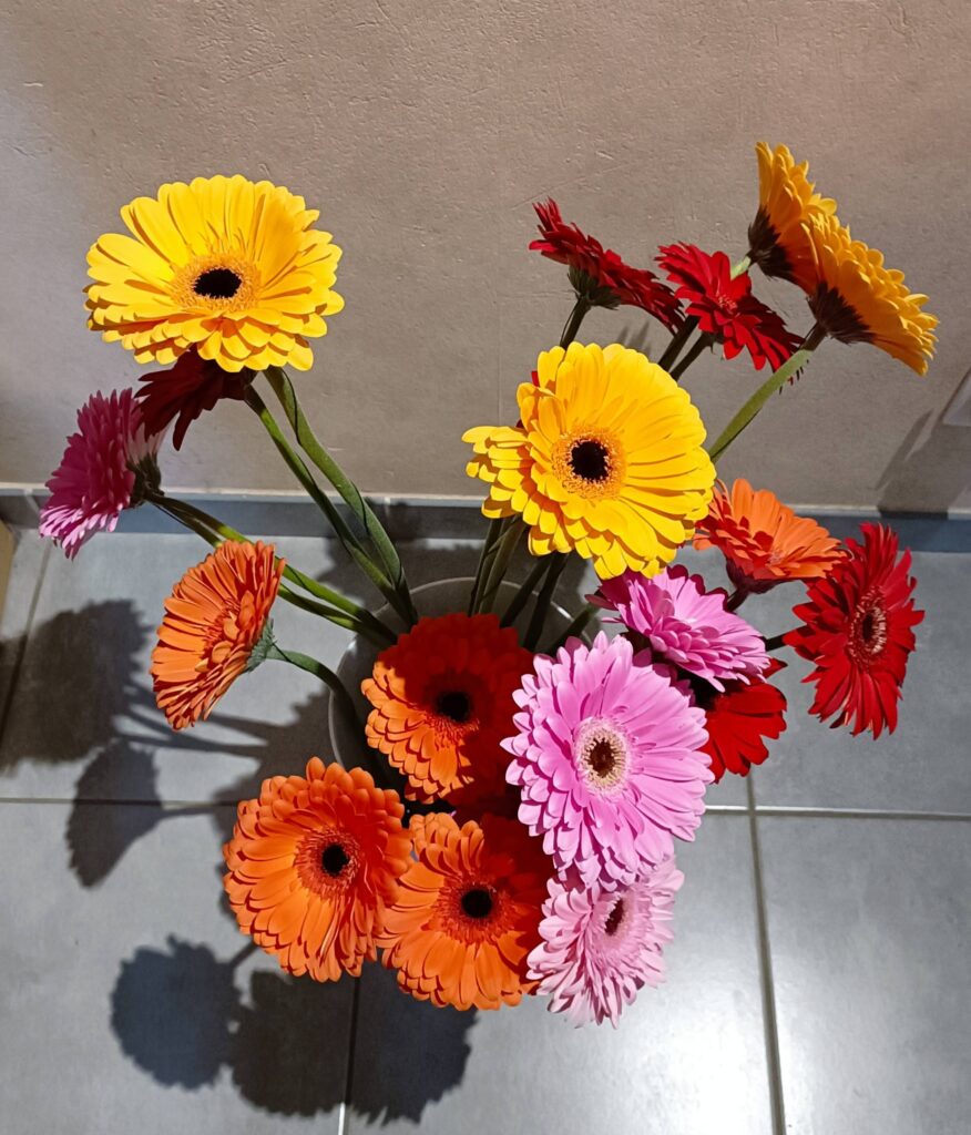 615416030_122260952132034137_3363129420338458741_n