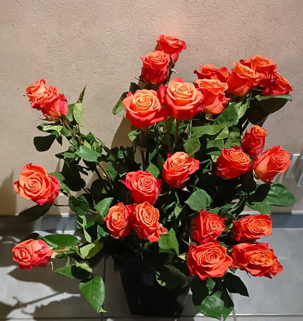 616758964_122260952090034137_1102542336339010372_n