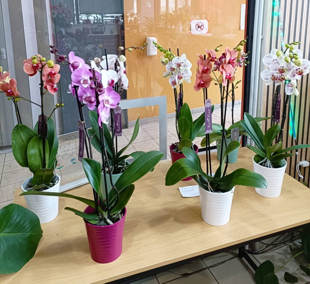 622369149_122263066760034137_8385587828128885529_n