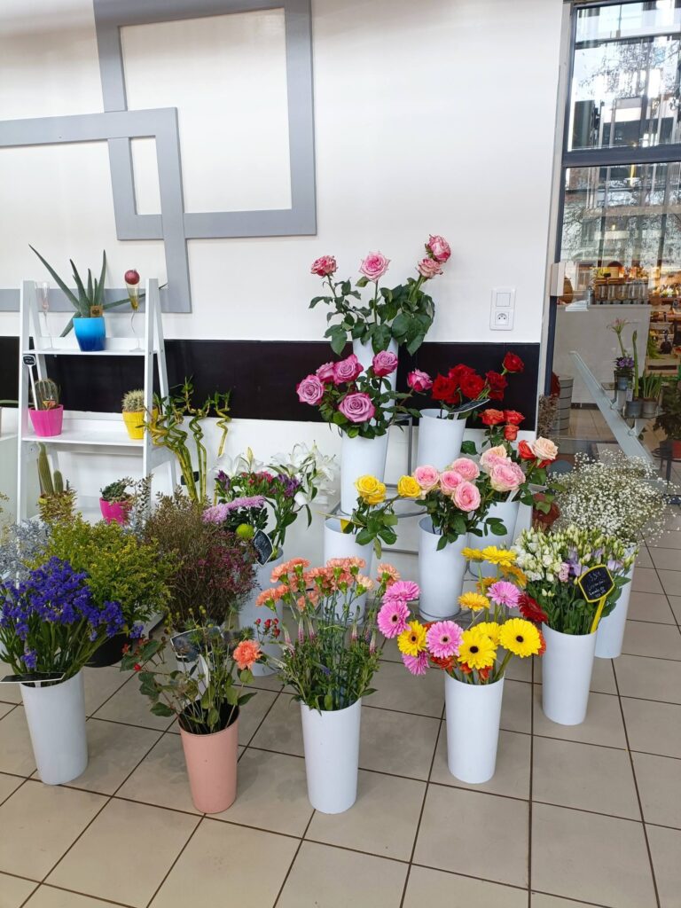 624695869_122263066718034137_3316769756242006613_n