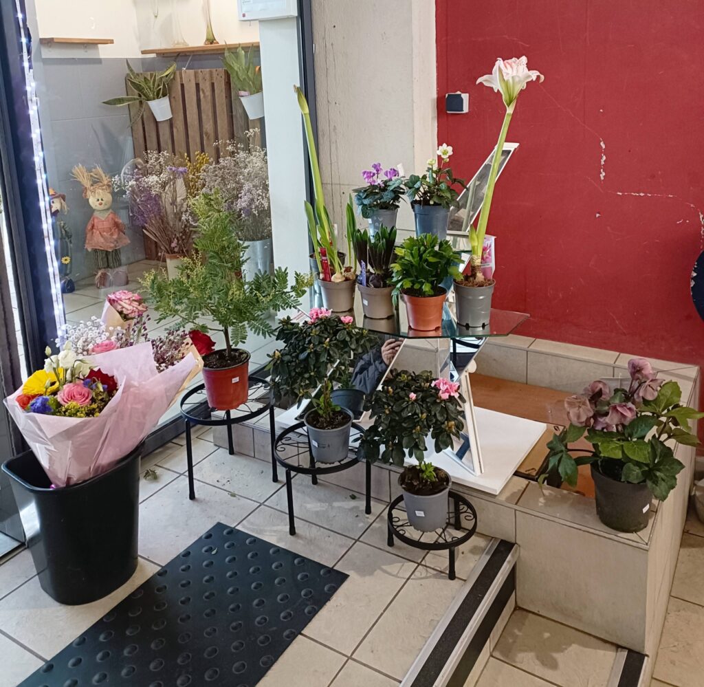 624727922_122263066676034137_2192305848825238155_n