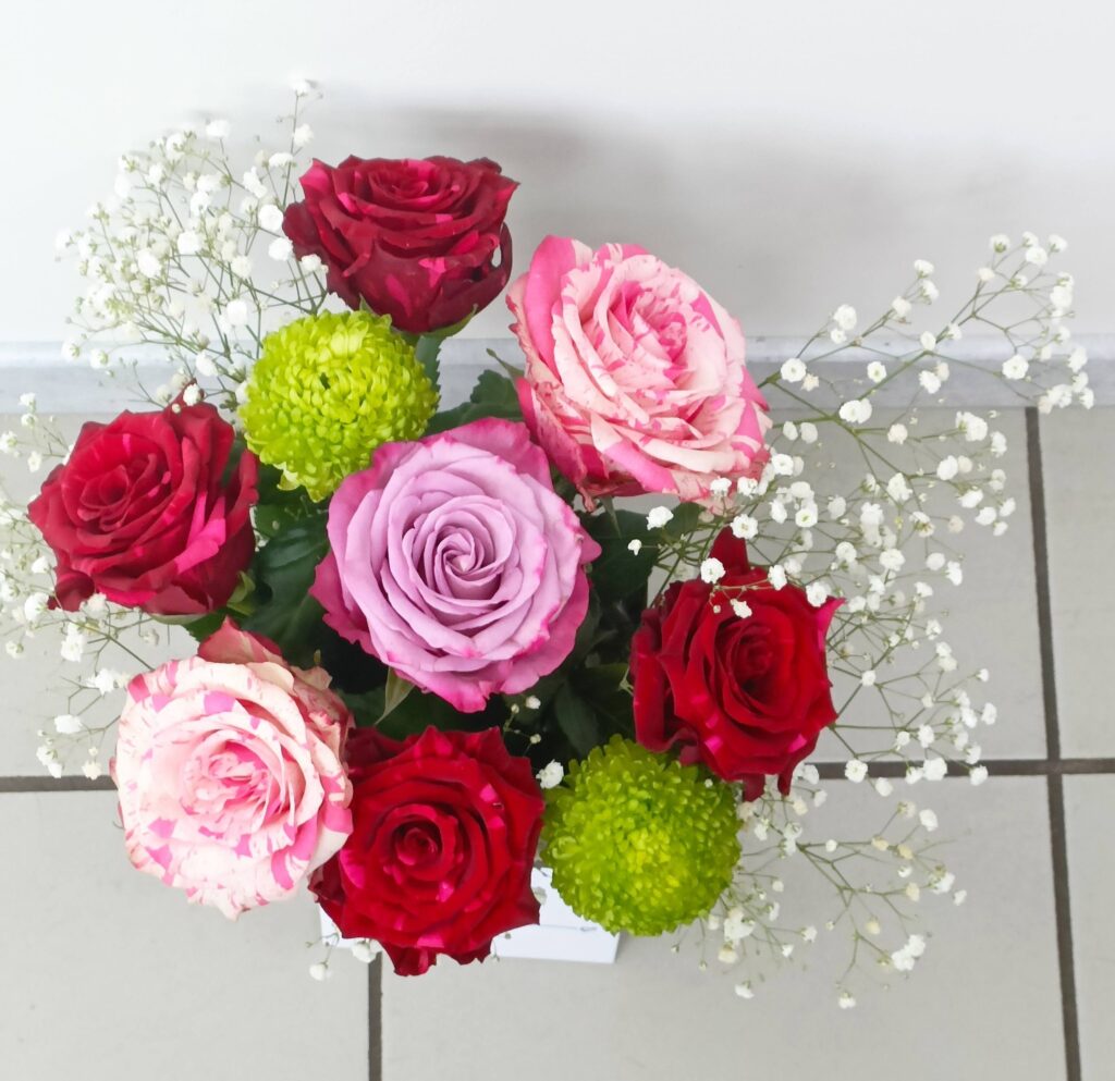 625123691_122263245992034137_504574085435333044_n