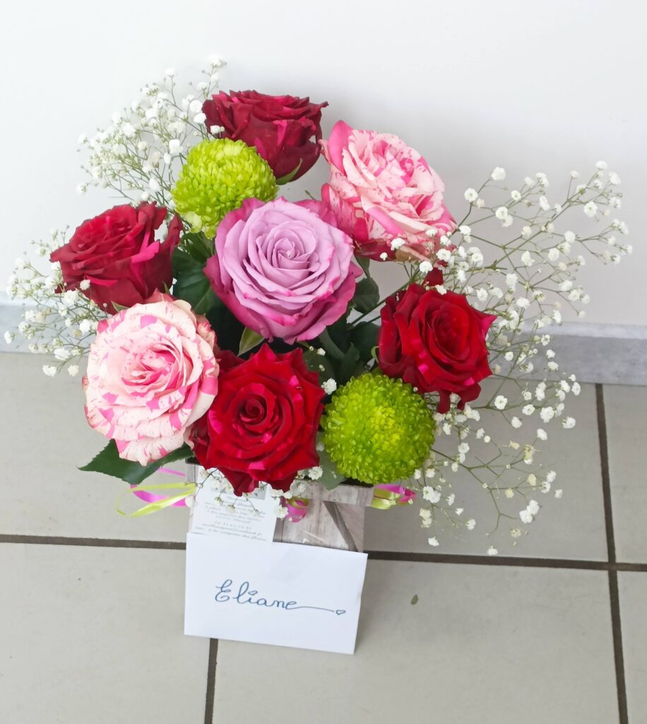 626540621_122263245950034137_7298547461797886895_n