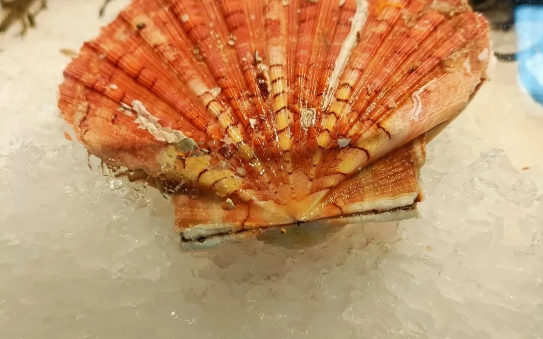 Poissonnerie du Brethon