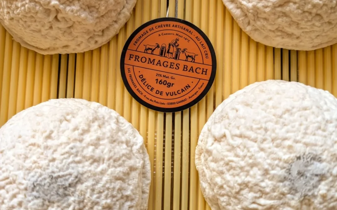 Tous les fromages